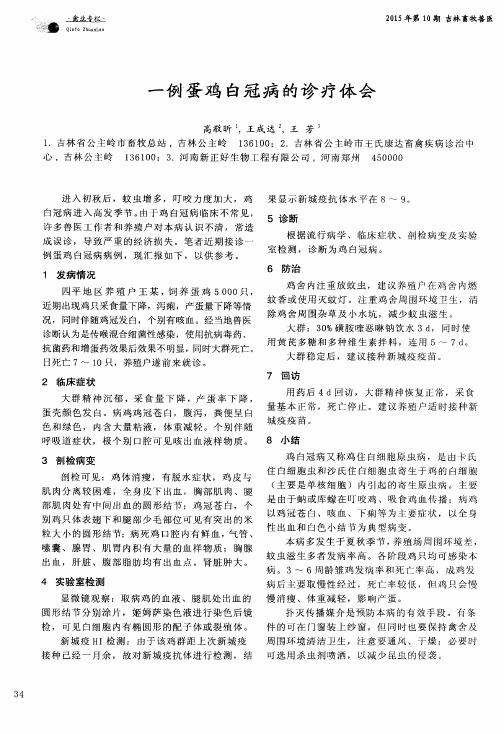 一例蛋鸡白冠病的诊疗体会