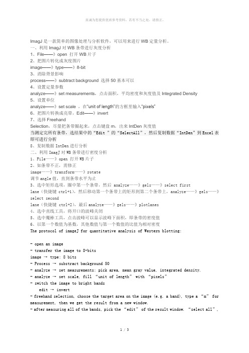 用imagej进行WB定量分析