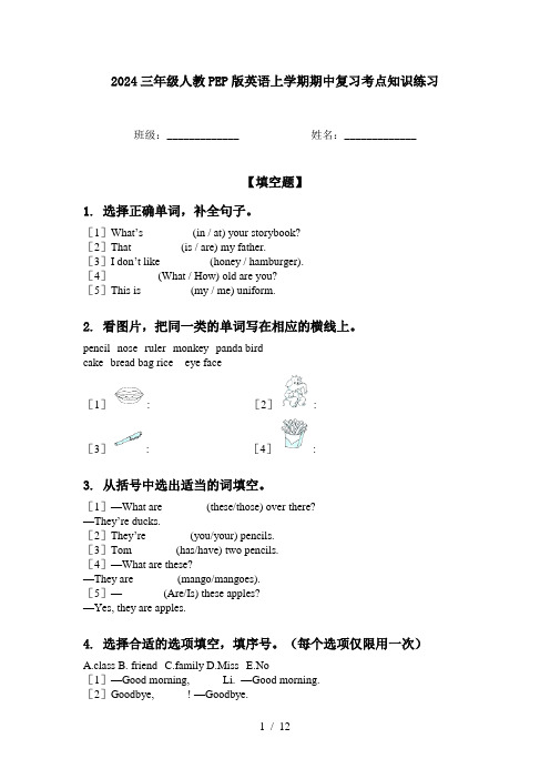 2024三年级人教PEP版英语上学期期中复习考点知识练习