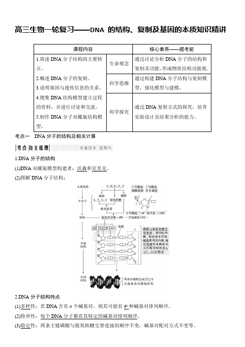 高三生物一轮复习——DNA 的结构、复制及基因的本质知识精讲