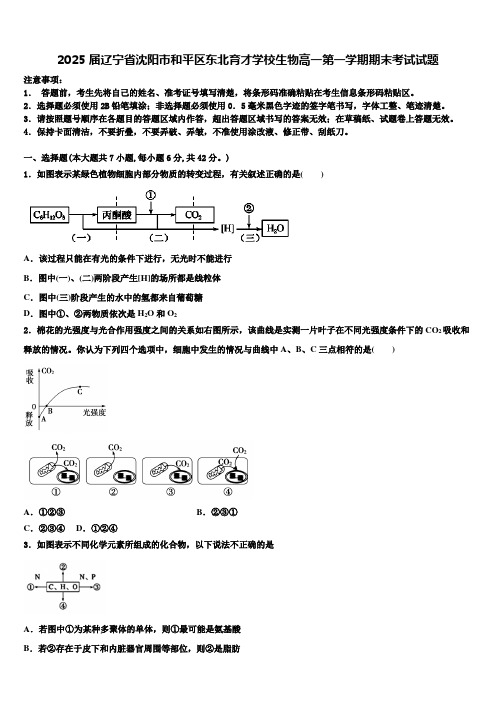 2025届辽宁省沈阳市和平区东北育才学校生物高一第一学期期末考试试题含解析