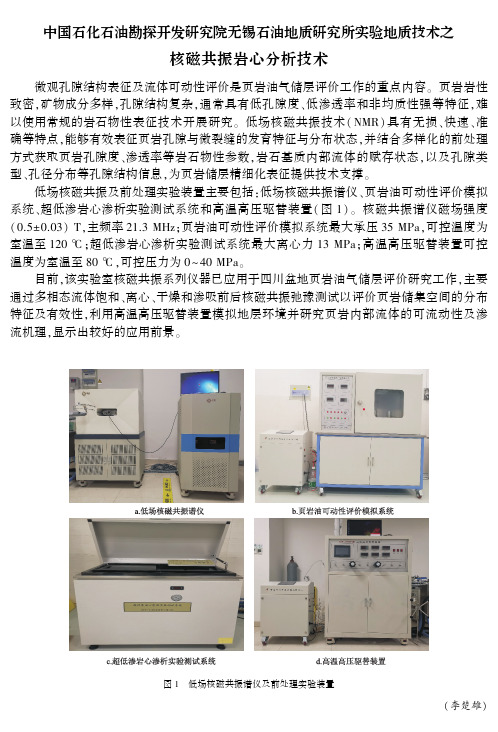 中国石化石油勘探开发研究院无锡石油地质研究所实验地质技术之核磁共振岩心分析技术