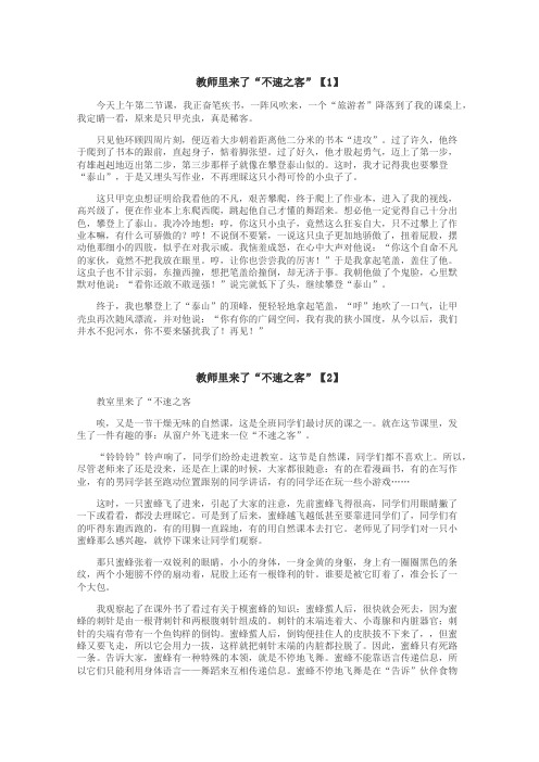 教师里来了不速之客作文
