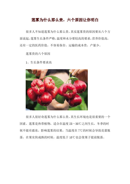 莲雾为什么那么贵,六个原因让你明白