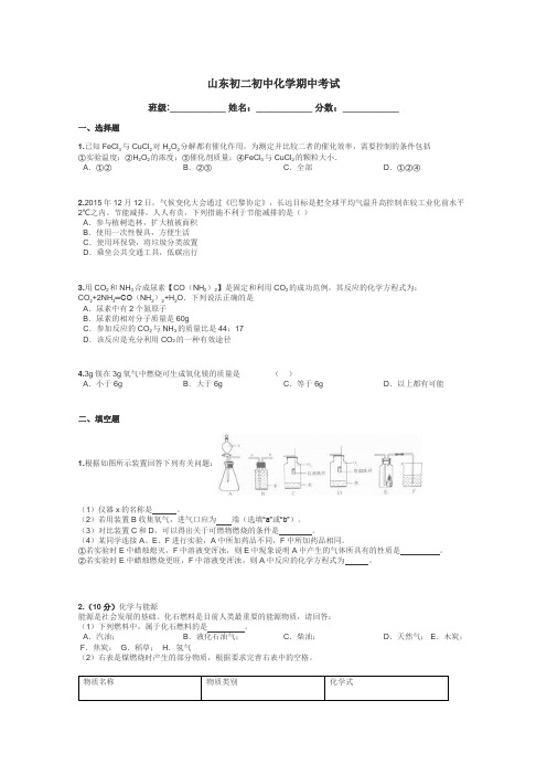 山东初二初中化学期中考试带答案解析
