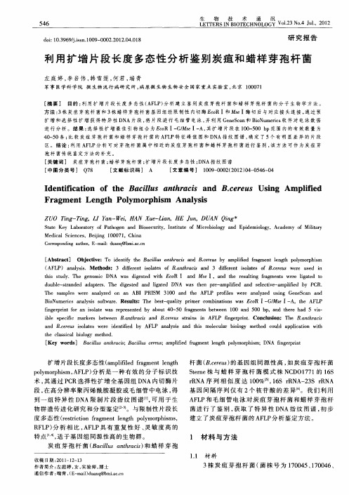 利用扩增片段长度多态性分析鉴别炭疽和蜡样芽孢杆菌