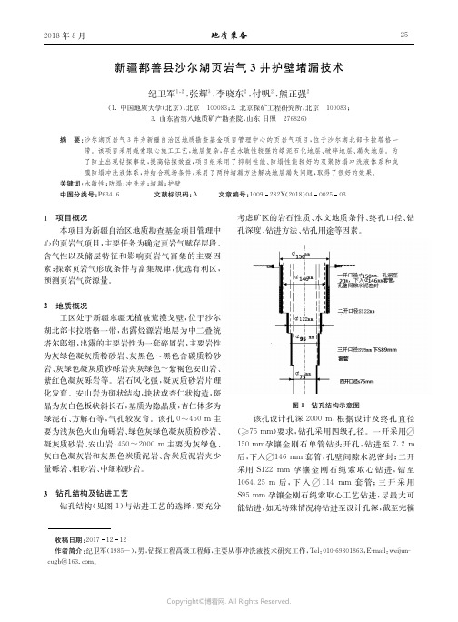 新疆鄯善县沙尔湖页岩气3井护壁堵漏技术_