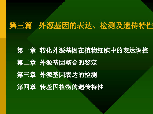 外源基因的表达、检测及遗传特性