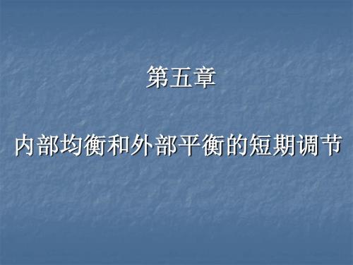 内部均衡和外部平衡的短期调节