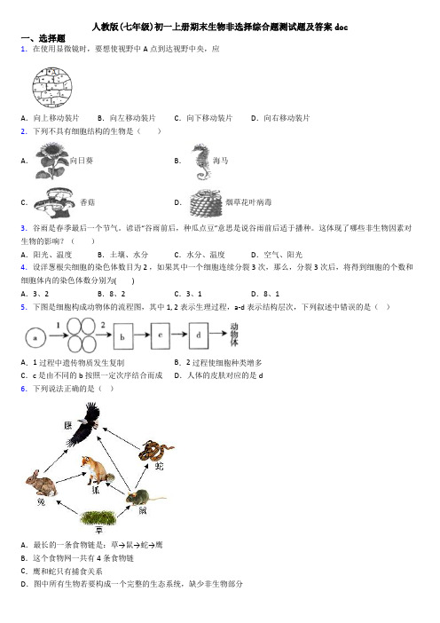 人教版(七年级)初一上册期末生物非选择综合题测试题及答案doc