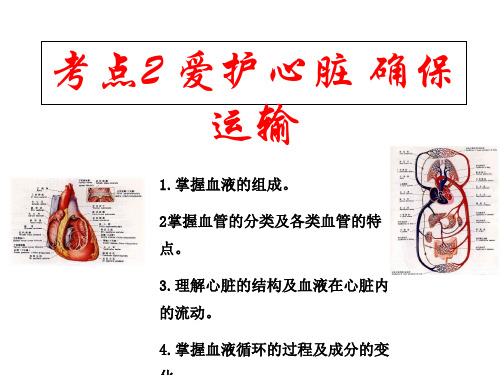 冀教初中生物七下《2第2章 爱护心脏 确保运输》PPT课件 (1)