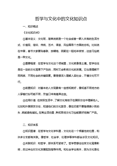 哲学与文化中的文化知识点