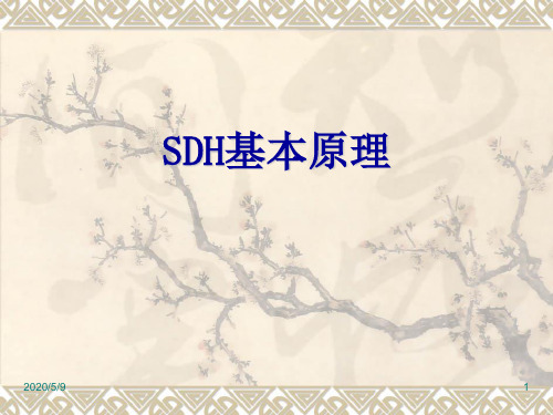 SDH原理(通俗版)