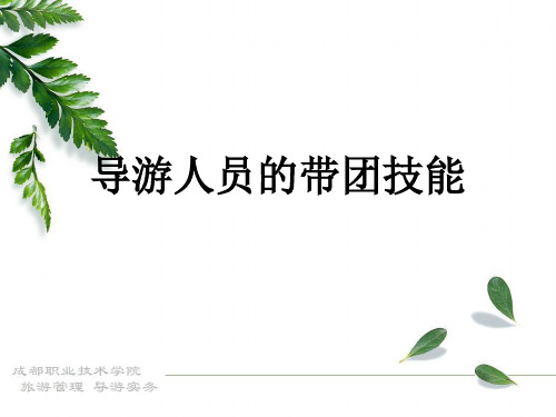 导游人员的带团技能案例分析(PPT35页)