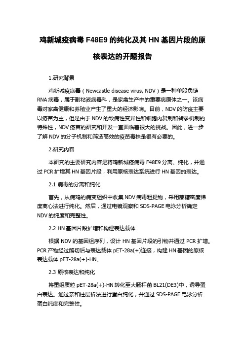 鸡新城疫病毒F48E9的纯化及其HN基因片段的原核表达的开题报告