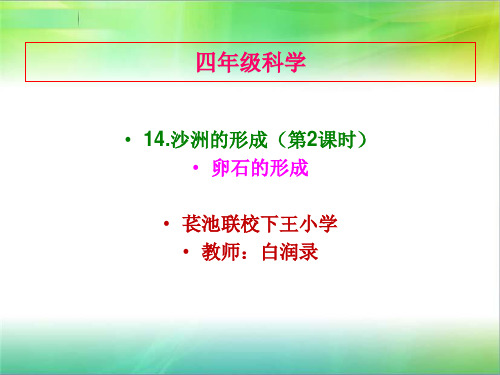 (五下)科学PPT课件4 沙洲的形成冀教版 (13张)