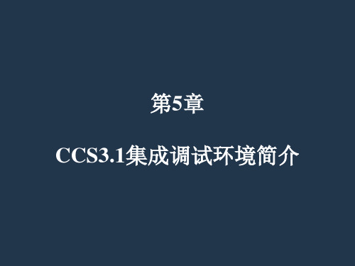 CCS31简介资料