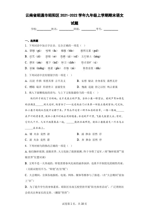 云南省昭通市昭阳区2021-2022学年九年级上学期期末语文试题(含答案)