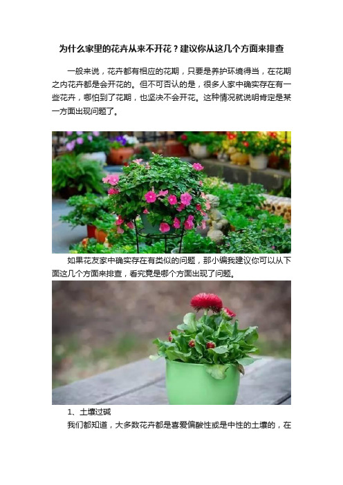 为什么家里的花卉从来不开花？建议你从这几个方面来排查