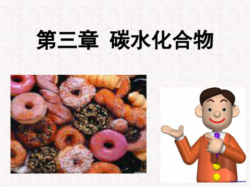 食品化学 第三章 碳水化合物 图文