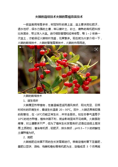 火棘的栽培技术火棘的繁殖育苗技术