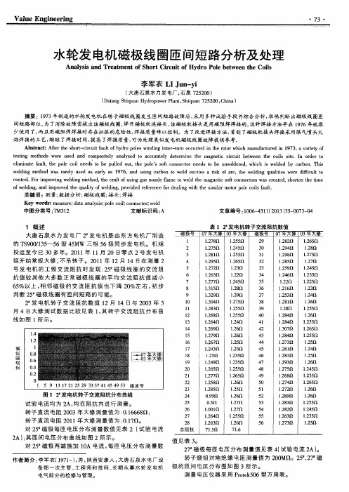 水轮发电机磁极线圈匝间短路分析及处理