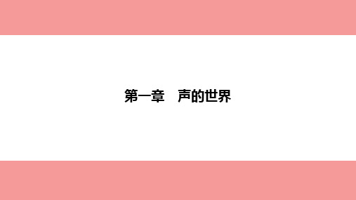 2023年中考物理一轮复习课件：声的世界