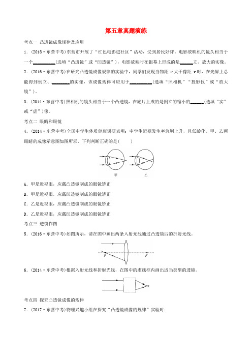 中考物理总复习第五章透镜及其应用真题演练.doc