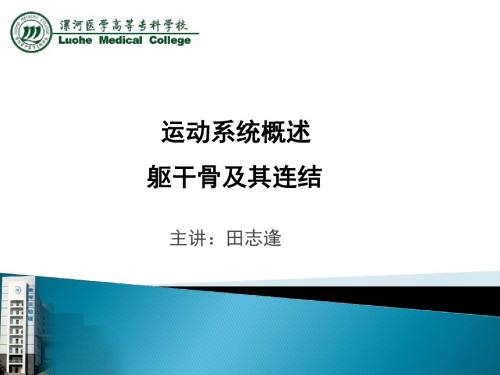 田志逢课件--运动总论及躯干骨及连结(2014-2015-1)