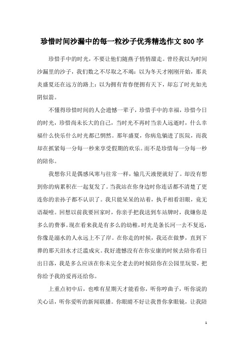 珍惜时间沙漏中的每一粒沙子优秀精选作文800字