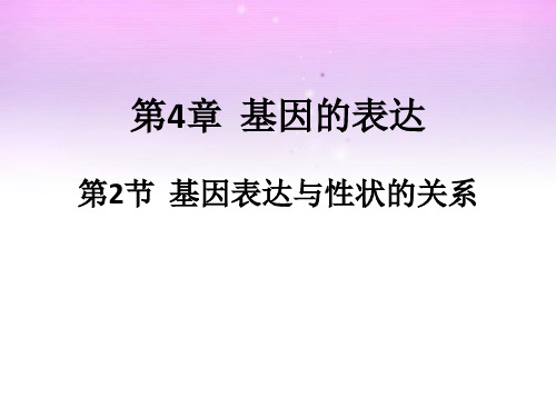 人教版高一生物必修二课件： 基因表达与性状的关系28张