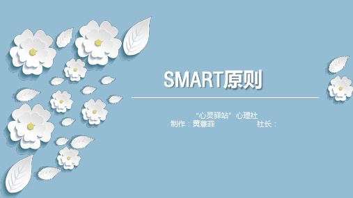 心理社《SMART原则》PPT