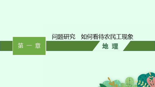 人教版高中地理必修第二册精品课件 第一章 问题研究 如何看待农民工现象