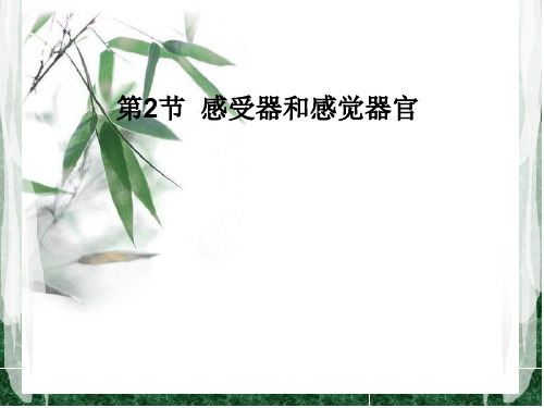 2019年春北师大版七年级下册生物名师课件：12.2 感受器和感觉器官(共28张PPT)