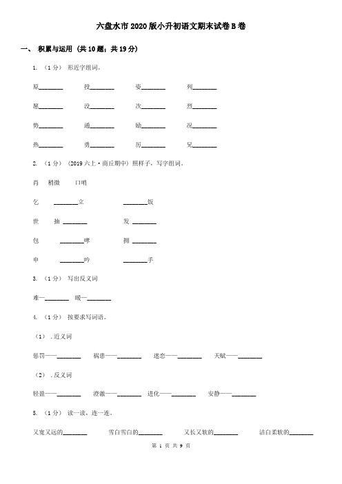 六盘水市2020版小升初语文期末试卷B卷
