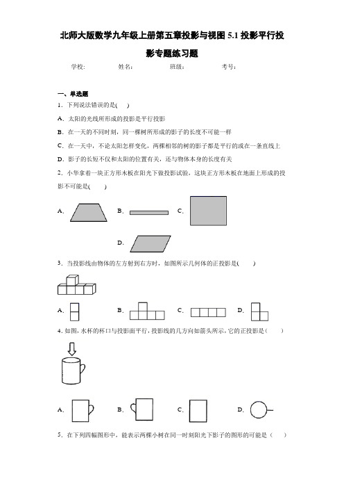 北师大版数学九年级上册第五章投影与视图5.1投影平行投影专题练习题