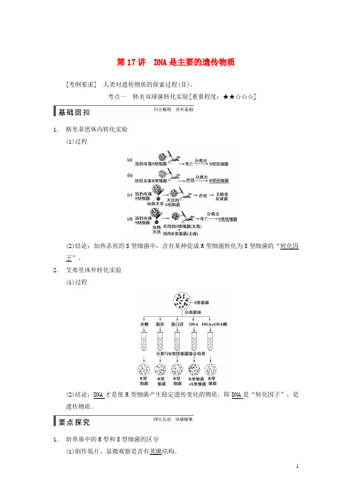 【步步高】届高考生物一轮总复习精品讲义第讲DNA是主要的遗传物质新人教版DOC