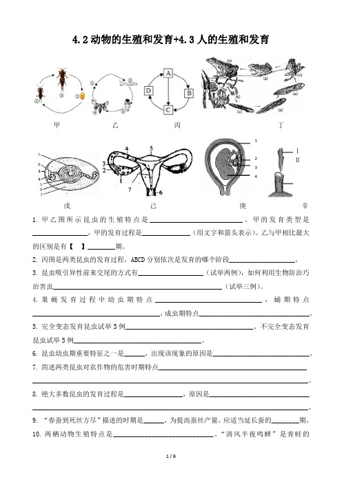 初中生物专题4.2+4.3动物和人的生殖与发育基础背默带答案直接打印版