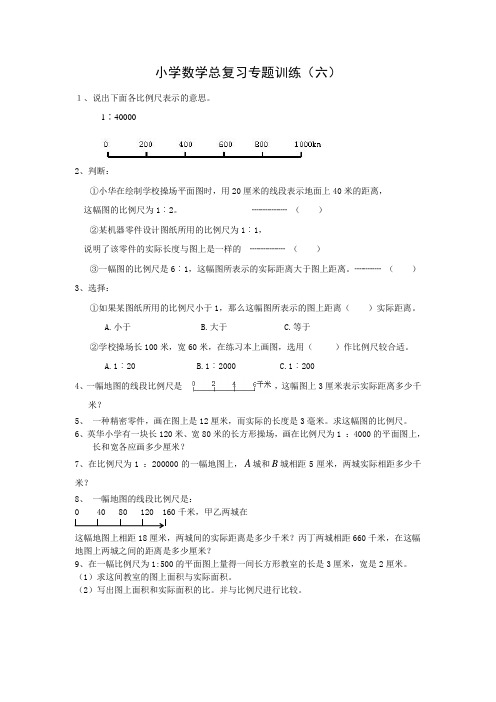 小学数学总复习专题训练(六)比例尺、面积变化、确定位置(含答案)