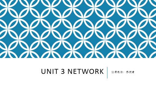 新应用大学英语Unit 3network