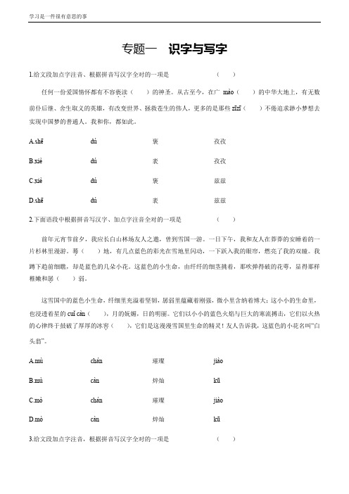 2021年中考语文专题复习训练：专题1 识字与写字