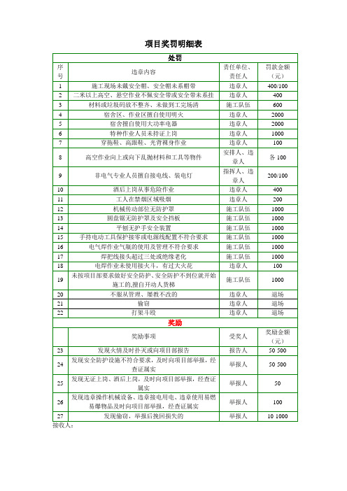 项目奖罚明细表