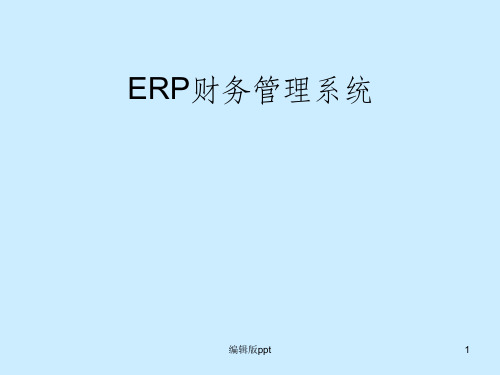 《ERP财务管理系统》PPT课件