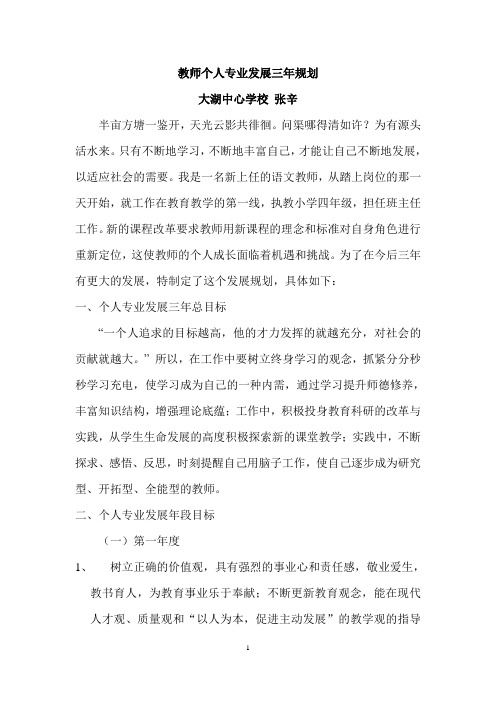 教师个人专业发展三年规划 张辛