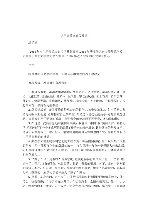 迟子建散文好段赏析