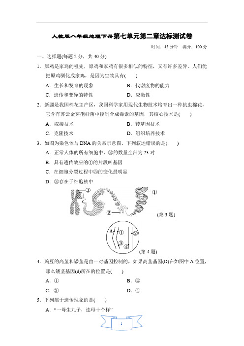 人教版八年级地理下册第二章达标测试卷含答案