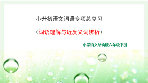 部编版小升初语文词语专项复习课件(词语理解与近反义词辨析) 含练习