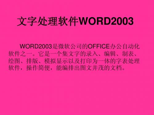 WORD2003一