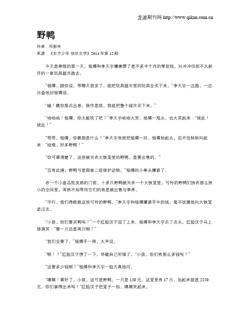 野鸭
