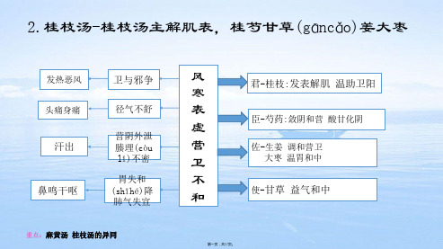 中医方剂思维导图(精品教学)